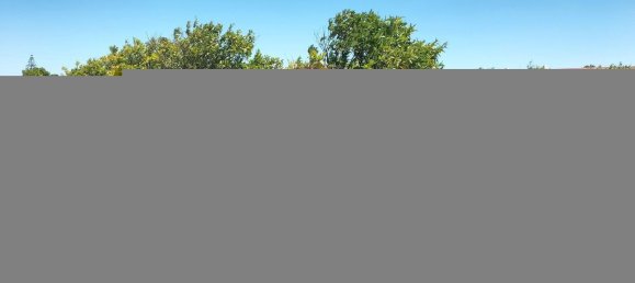 19500m² Land in Palmela, Portugal No. 92313 9