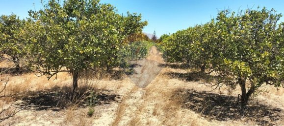 19500m² Land in Palmela, Portugal No. 92313 10