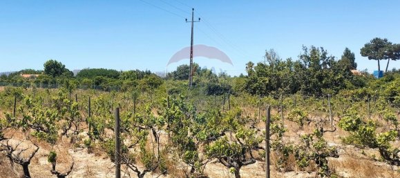 19500m² Land in Palmela, Portugal No. 92313 7
