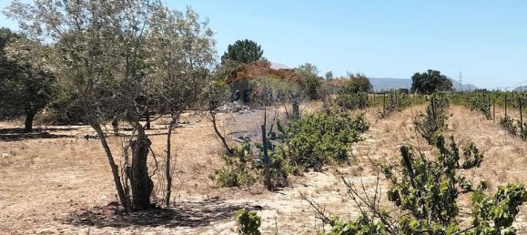 19500m² Land in Palmela, Portugal No. 92313 4