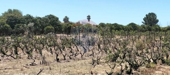 19500m² Land in Palmela, Portugal No. 92313 5