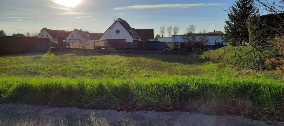  Land in Muntzenheim, France No. 332110 3