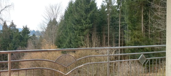 3 غرف نوم فيلا في Freyung-Grafenau, Germany رقم 119023 2