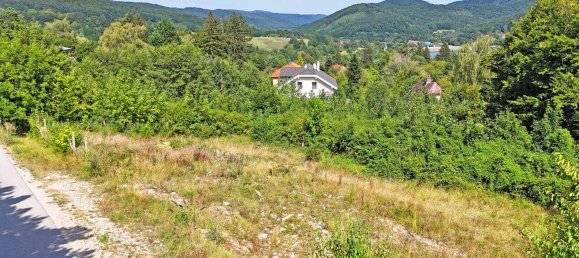  Land in Pressbaum, Austria No. 41022 7