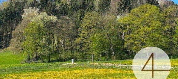  Land in Waidhofen an der Ybbs, Austria No. 66019 2