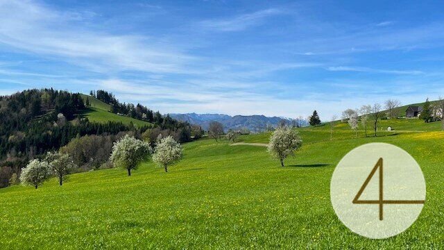  Land in Waidhofen an der Ybbs, Austria No. 66019