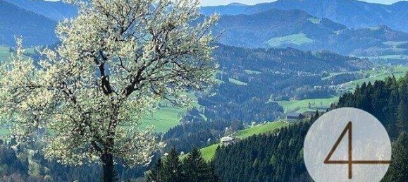  Land in Waidhofen an der Ybbs, Austria No. 66019 5