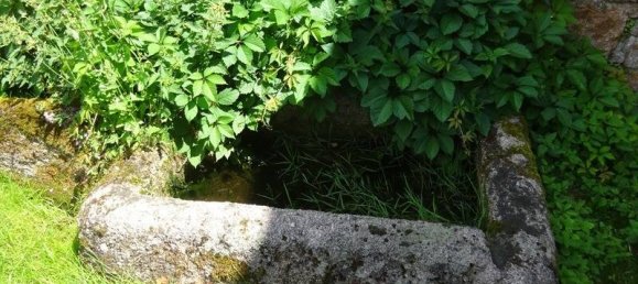 4 chambres Villa à Verosvres, France No. 205082 25