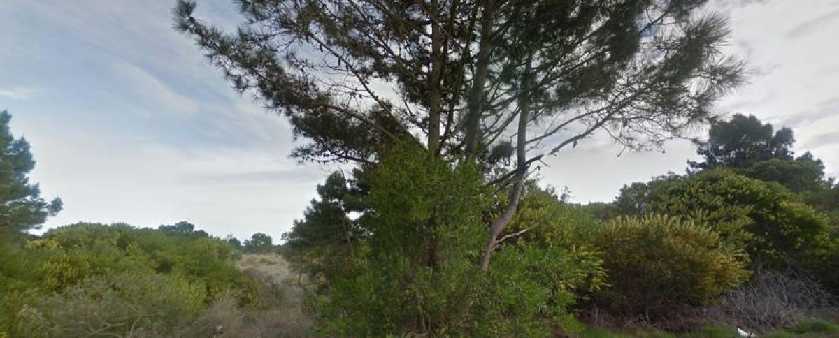 Grundstück in Maldonado, Uruguay, Nr. 14143