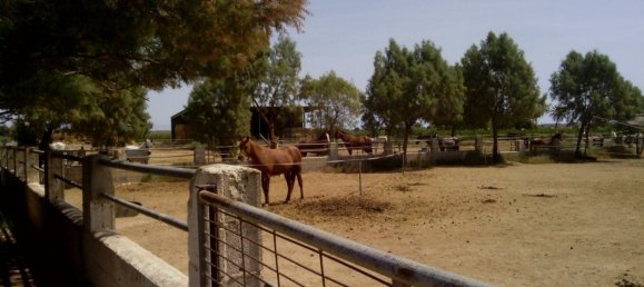 3 Schlafzimmer Gewerbliche Immobilien in Elche, Spain, Nr. 365030 13