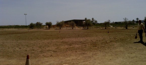 3 Schlafzimmer Gewerbliche Immobilien in Elche, Spain, Nr. 365030 21