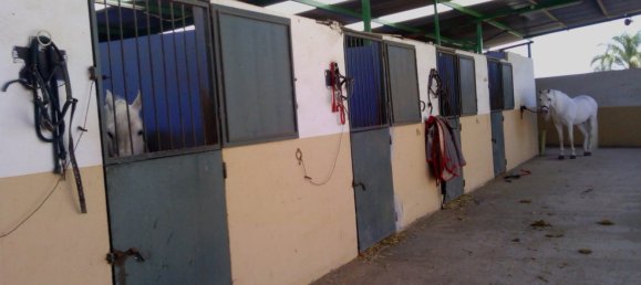 3 Schlafzimmer Gewerbliche Immobilien in Elche, Spain, Nr. 365030 15