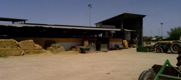 3 Schlafzimmer Gewerbliche Immobilien in Elche, Spain, Nr. 365030 5