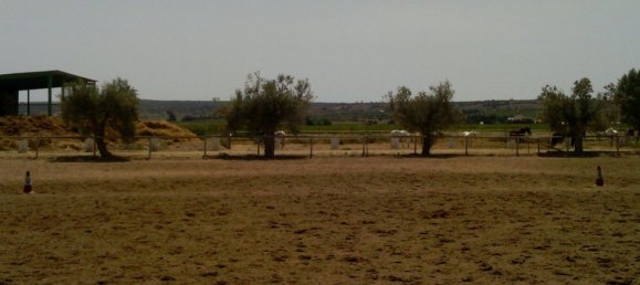 3 Schlafzimmer Gewerbliche Immobilien in Elche, Spain, Nr. 365030 19
