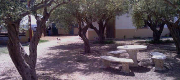 3 Schlafzimmer Gewerbliche Immobilien in Elche, Spain, Nr. 365030 24