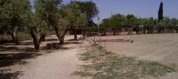 3 Schlafzimmer Gewerbliche Immobilien in Elche, Spain, Nr. 365030 17
