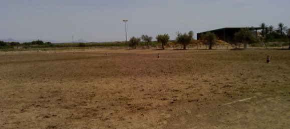 3 Schlafzimmer Gewerbliche Immobilien in Elche, Spain, Nr. 365030 23