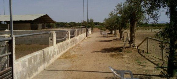 3 Schlafzimmer Gewerbliche Immobilien in Elche, Spain, Nr. 365030 14