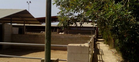 3 Schlafzimmer Gewerbliche Immobilien in Elche, Spain, Nr. 365030 26