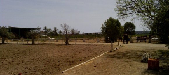 3 Schlafzimmer Gewerbliche Immobilien in Elche, Spain, Nr. 365030 11