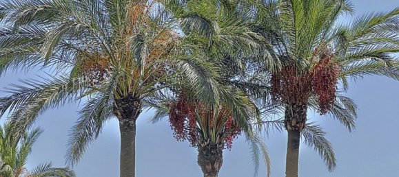 Пентхаус с 3 спальнями в Малага, Испания № 124200 30