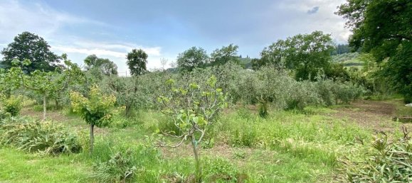 1 room Land in Bibbona, Italy No. 148020 5