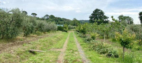 1 room Land in Bibbona, Italy No. 148020 4