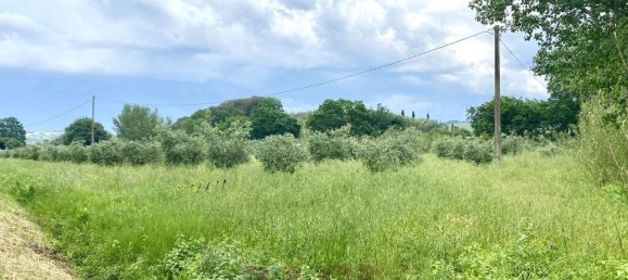 1 room Land in Bibbona, Italy No. 148020 7