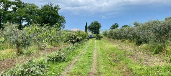 1 room Land in Bibbona, Italy No. 148020 3