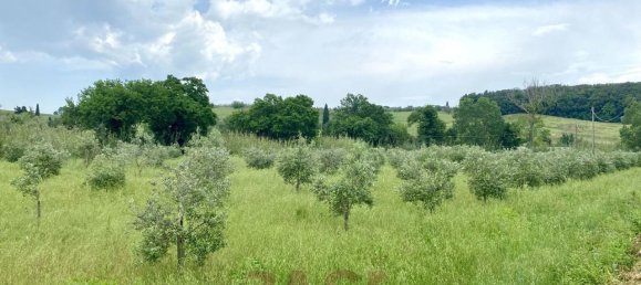 1 room Land in Bibbona, Italy No. 148020 6