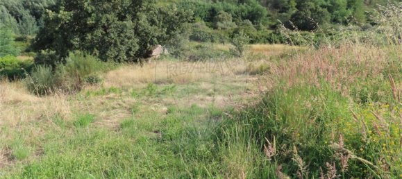 1 غرف نوم منزل في Fundao, Portugal رقم 74631 16