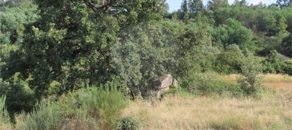 1 غرف نوم منزل في Fundao, Portugal رقم 74631 20