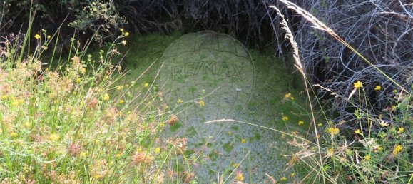 1 غرف نوم منزل في Fundao, Portugal رقم 74631 14