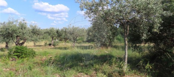 1 غرف نوم منزل في Fundao, Portugal رقم 74631 10