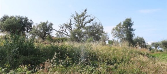 1 غرف نوم منزل في Fundao, Portugal رقم 74631 18