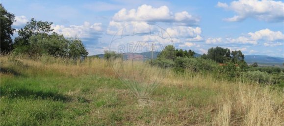 1 غرف نوم منزل في Fundao, Portugal رقم 74631 19