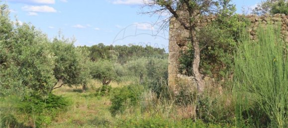 1 غرف نوم منزل في Fundao, Portugal رقم 74631 21