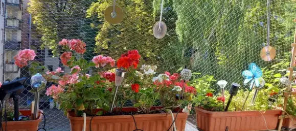 2 bedrooms Apartment in Mannheim, Germany No. 338834 5