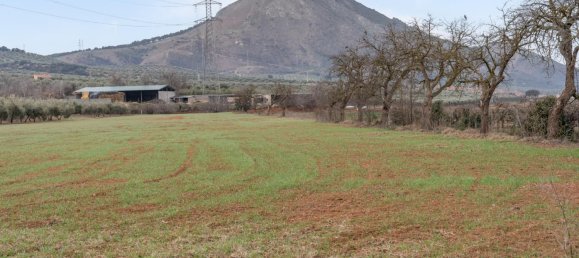 9337m² Land in Albolote, Spain No. 170030 14