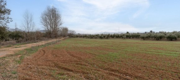 9337m² Land in Albolote, Spain No. 170030 32