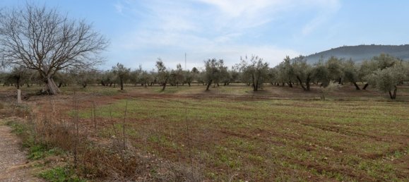 9337m² Land in Albolote, Spain No. 170030 36