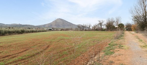 9337m² Land in Albolote, Spain No. 170030 19