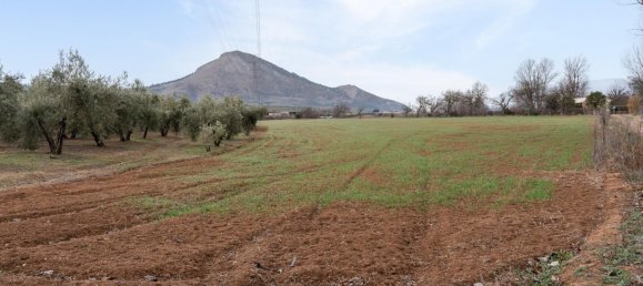 9337m² Land in Albolote, Spain No. 170030 60