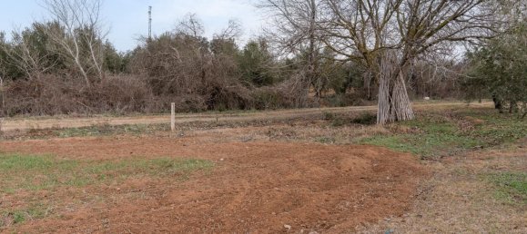 9337m² Land in Albolote, Spain No. 170030 68