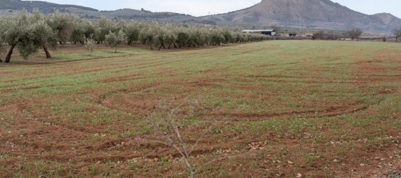 9337m² Land in Albolote, Spain No. 170030 58