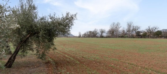 9337m² Land in Albolote, Spain No. 170030 67