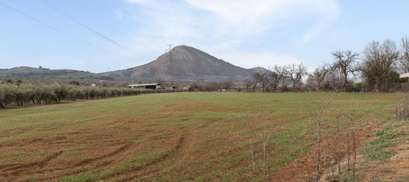 9337m² Land in Albolote, Spain No. 170030 16