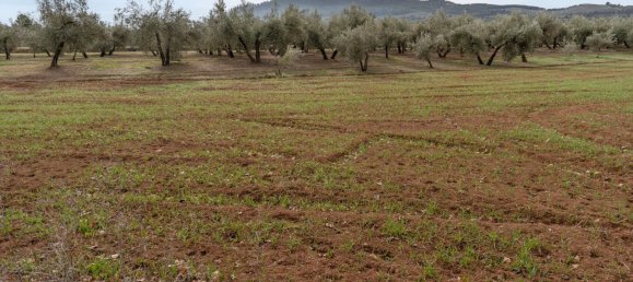 9337m² Land in Albolote, Spain No. 170030 44
