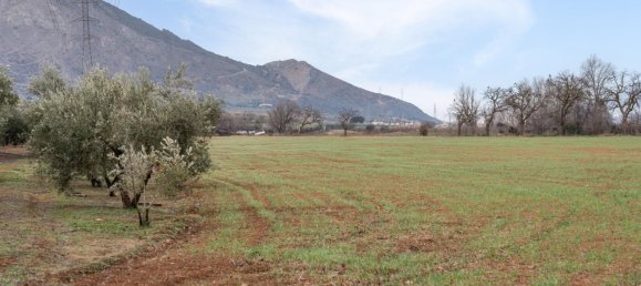 9337m² Land in Albolote, Spain No. 170030 66