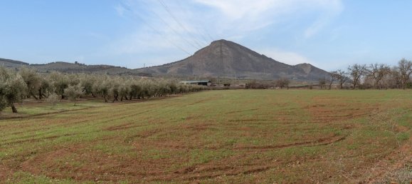 9337m² Land in Albolote, Spain No. 170030 41